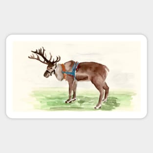 reindeer Sticker